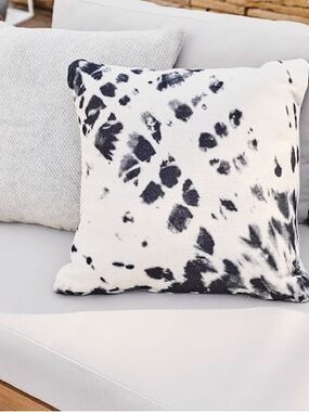 West Elm Outdoor Pillows (2)